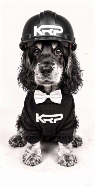 Coco, KRP Developments’ office dog and Head of Client Relations, wearing a KRP hard hat